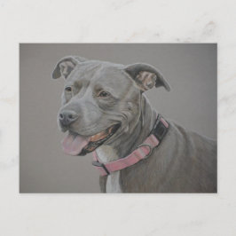 Pit Bull Dog Art Postcard Vykort
