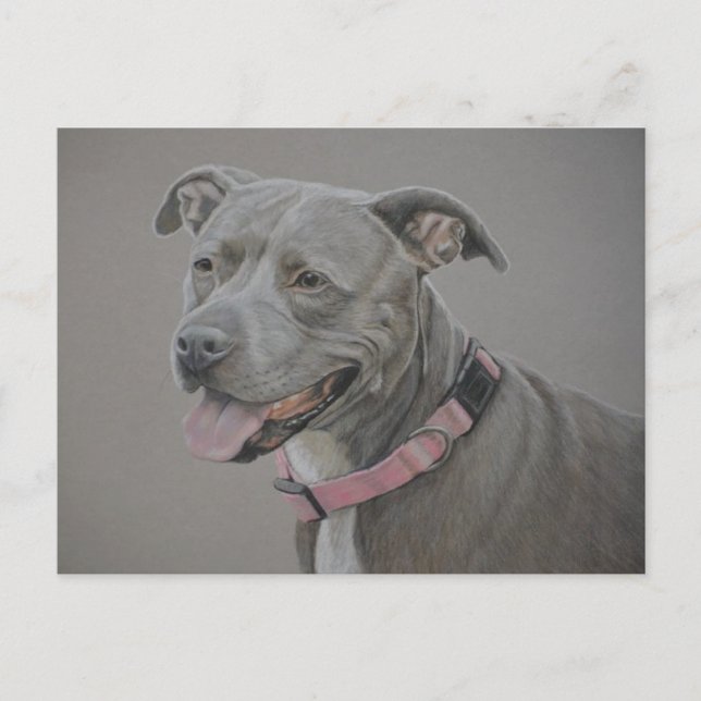Pit Bull Dog Art Postcard Vykort (Framsida)