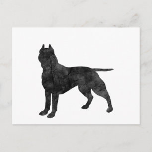 Pit Bull Dog Grunge Silhouette Vykort