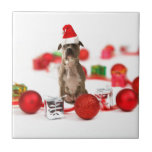 Pit Bull Dog med Gift box och julprydnader Kakelplatta<br><div class="desc">En söt Pit Bull-hund som bär julhatt och sitta mellan presentboxar och julprydnader.</div>
