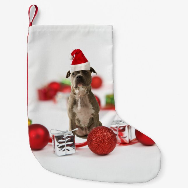 Pit Bull Dog med Gift box och julprydnader Liten Julstrumpa (Framsidan)