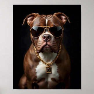 Pit bull Dog med solfångare och guld Poster