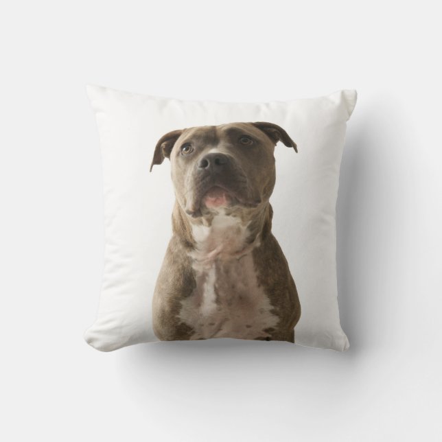 Pit Bull Dog Pillow Kudde (Framsida)