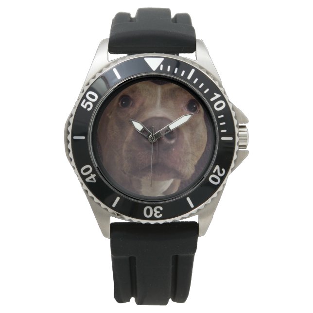 PIT BULL DOG watch Armbandsur (Framsida)