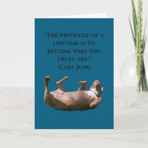 Pit Bull-filosofi Kort