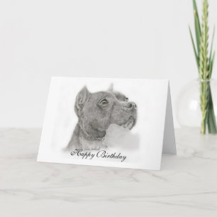 Pit Bull Grattis på födelsedagen Card Kort