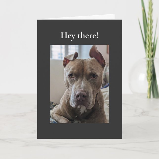 Pit Bull Hej Där Kort (Framsida)