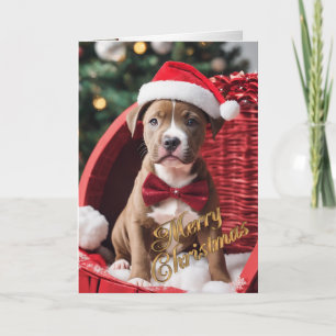 Pit Bull julvalp i en korg Helgkort