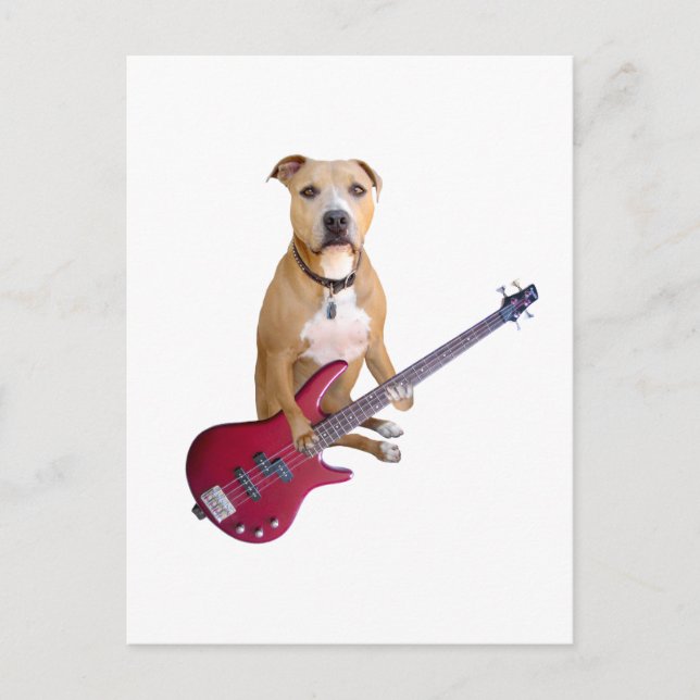 Pit Bull med Guitar Vykort (Framsida)