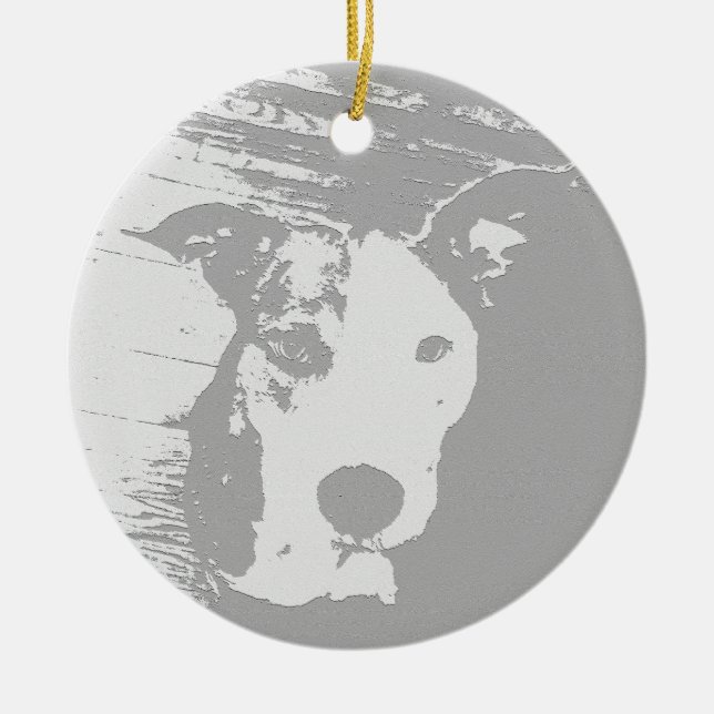 PIT BULL ORNAMENT PITTY (Framsidan)