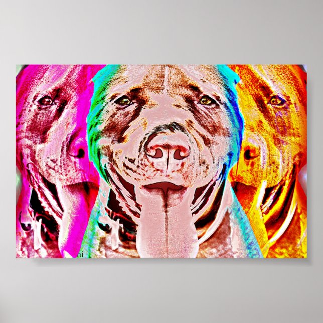 Pit Bull Pop Art Porträtt Poster (Framsidan)
