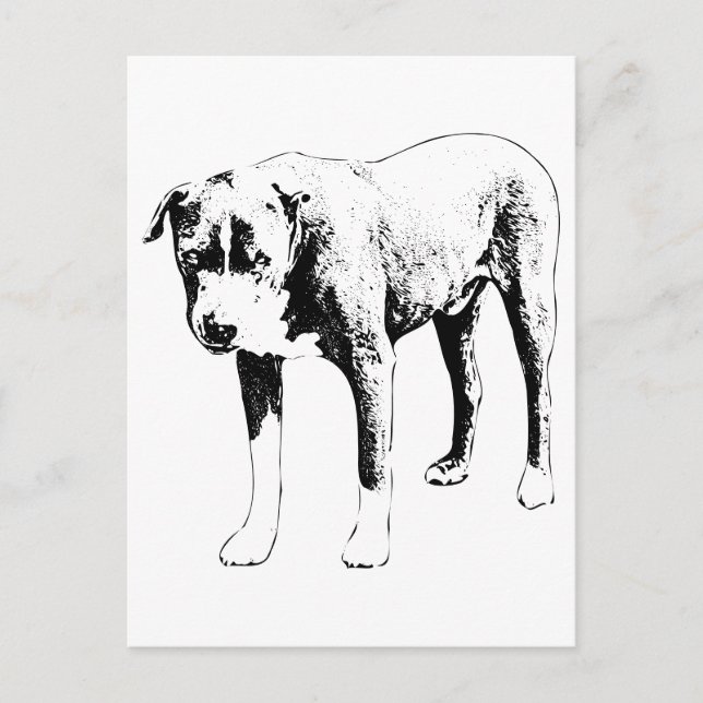Pit Bull Post, Snö Day Hej Vykort (Framsida)