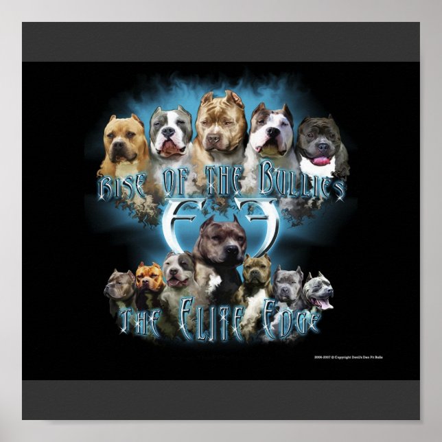 Pit Bull poster (Framsidan)