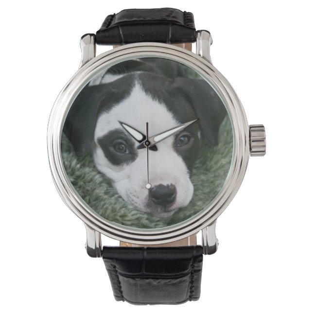 Pit Bull Puppy (Angie) Watch Armbandsur (Framsida)