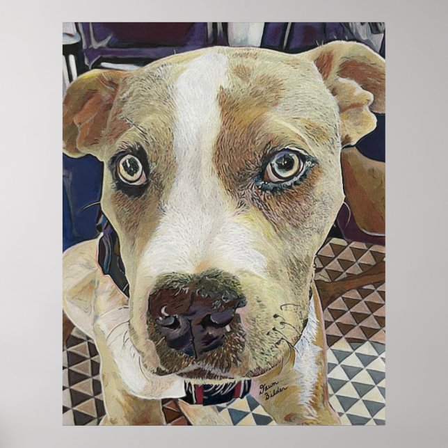 Pit Bull Puppy Poster (Framsidan)