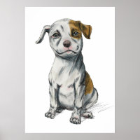 Pit Bull Puppy Sketch Teckning