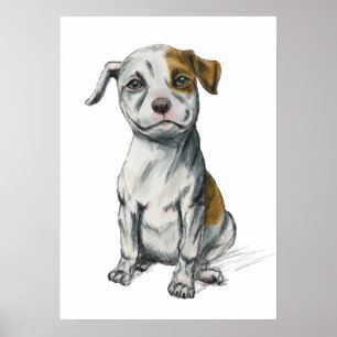 Pit Bull Puppy Sketch Teckning Poster