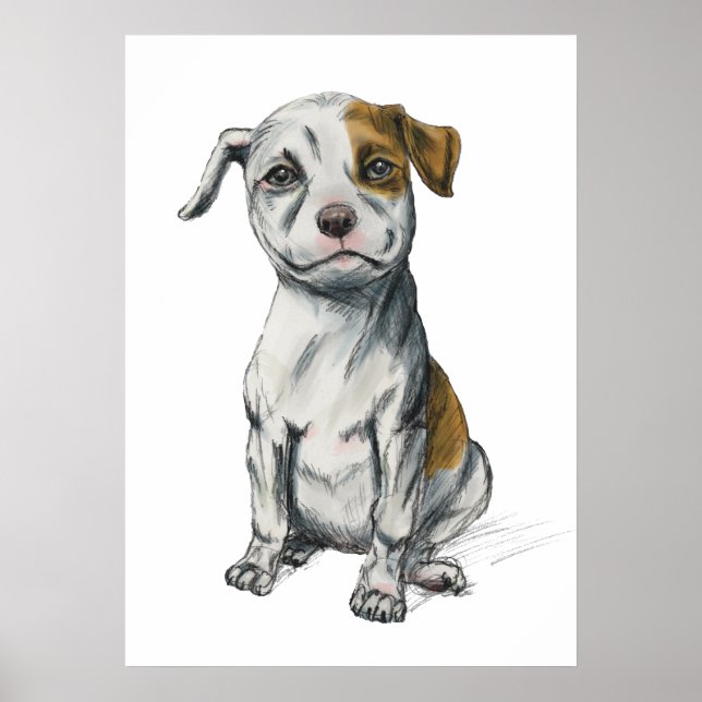 Pit Bull Puppy Sketch Teckning Poster (Framsidan)