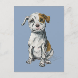 Pit Bull Puppy Sketch Teckning Vykort