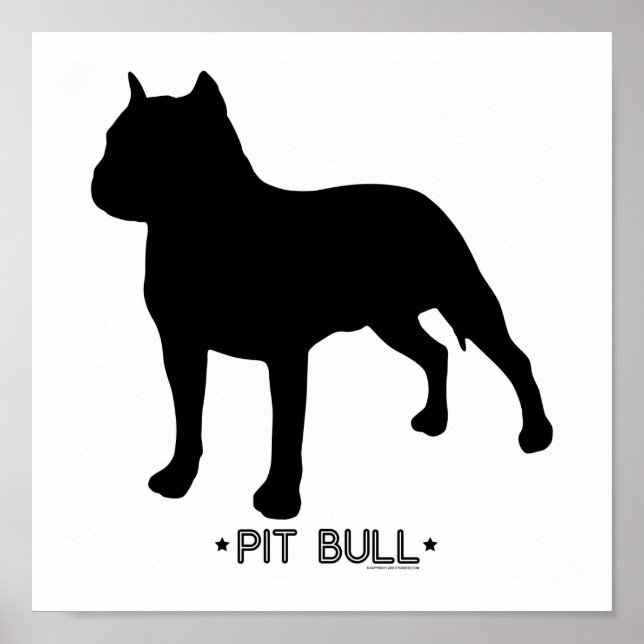 Pit Bull Skriv ut Poster (Framsidan)