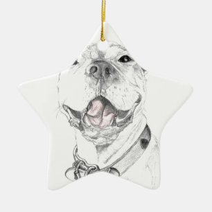 Pit Bull Smile Julgransprydnad Keramik