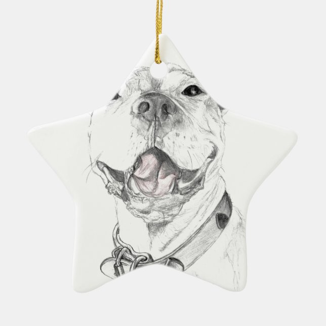 Pit Bull Smile Julgransprydnad Keramik (Framsidan)