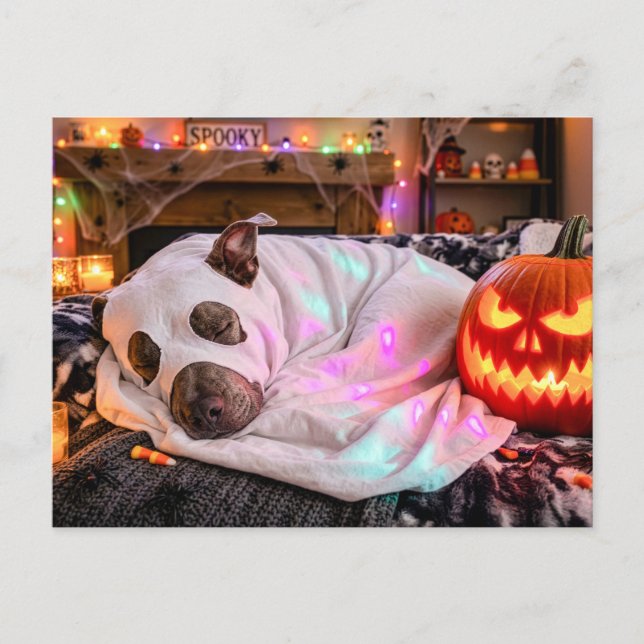 Pit Bull som sover i spökdräkt Halloween Vykort (Framsida)