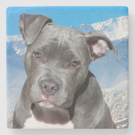 Pit Bull Stenunderlägg