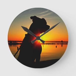 Pit Bull Sunrise Rund Klocka