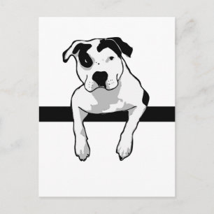 Pit Bull T-Bone Graphic Vykort