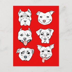 Pit Bull Terrier Hund Red Vykort