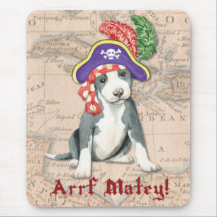 Pit Bull Terrier Pirat Musmatta