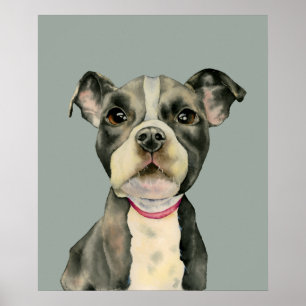 Pit Bull Terrier Puppy Hund Watercolor Art Poster