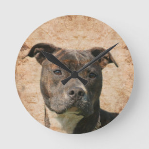 Pit Bull Terrier Rund Klocka