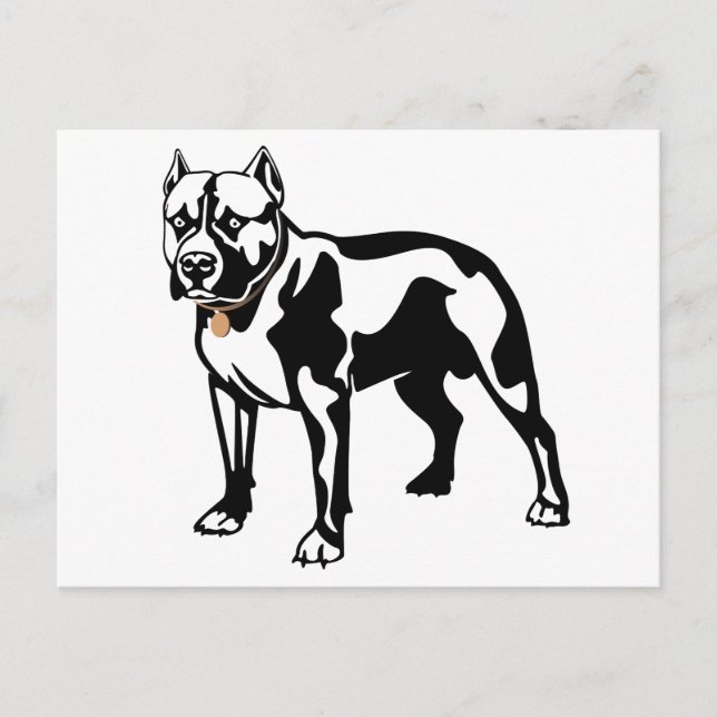 Pit Bull Valp Hund Tom Postkort Vykort (Framsida)