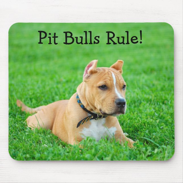 Pit Bulls Regerar Musmatta (Framsidan)
