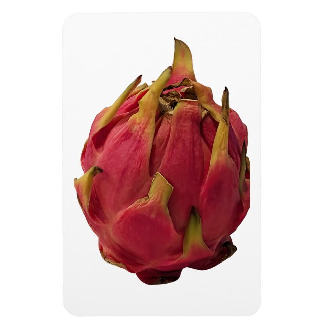 Pitaya Photo Magnet (Vertikal)