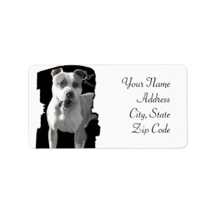 Pitbull adressetiketter
