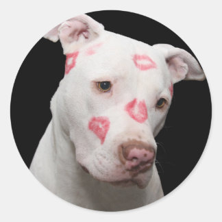 Pitbull Älskare Runt Klistermärke