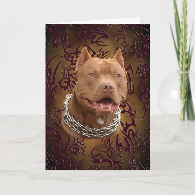 Pitbull brun stam- tatuering kort (Framsida)