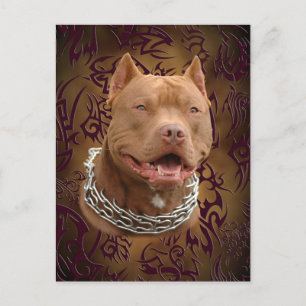 Pitbull brunsttatuering vykort