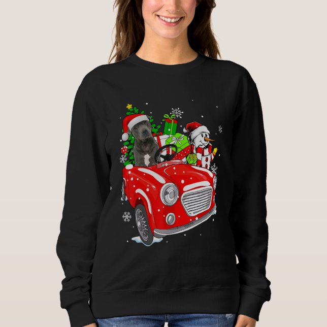 Pitbull Dog Santa Hat Red Car Christmas T Shirt (Framsida)