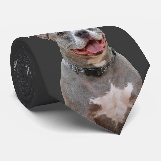 Pitbull Ear till Ear Smile Necktie Slips (Rullad)