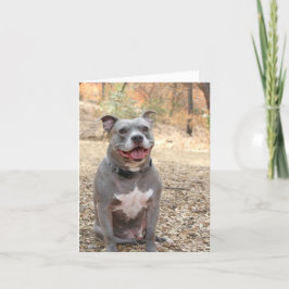 Pitbull Ear-to-Ear-Tackkort-kort Tack Kort