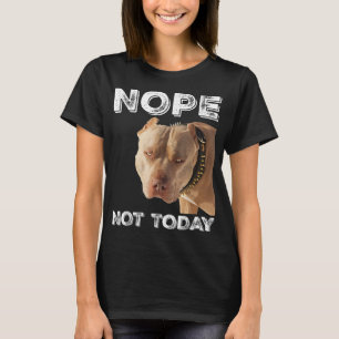 Pitbull - Ej i dag T-Shirt Pitbull Älskare T-S