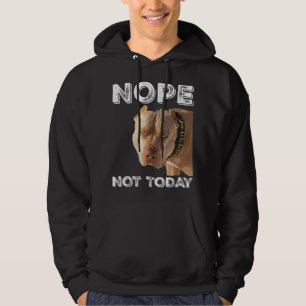 Pitbull - Ej i dag T-Shirt Pitbull Älskare T-S Hoodie