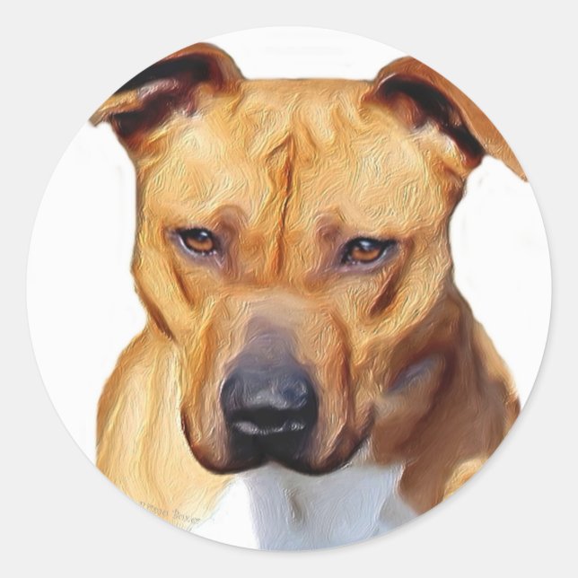 Pitbull-etiketter Runt Klistermärke (Framsida)
