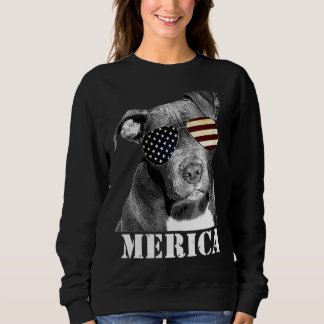 Pitbull Funny Patriotic Hund Usa Sol Glass T Shirt