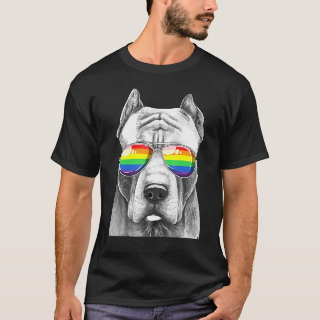 Pitbull Gay pride Flagga Sunglasses Lgbt T Shirt (Framsida)