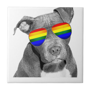 Pitbull Gay pride Hund Clothing LGBT Funny Gift Ra Kakelplatta